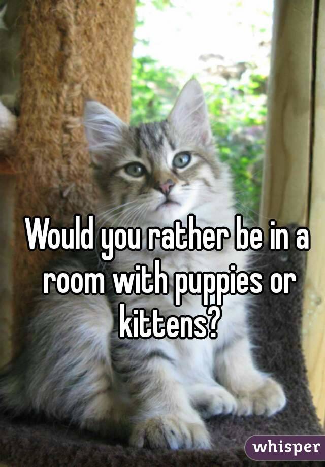 Would you rather be in a room with puppies or kittens?