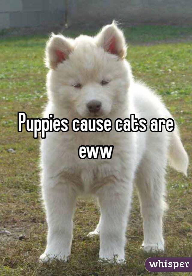 Puppies cause cats are eww