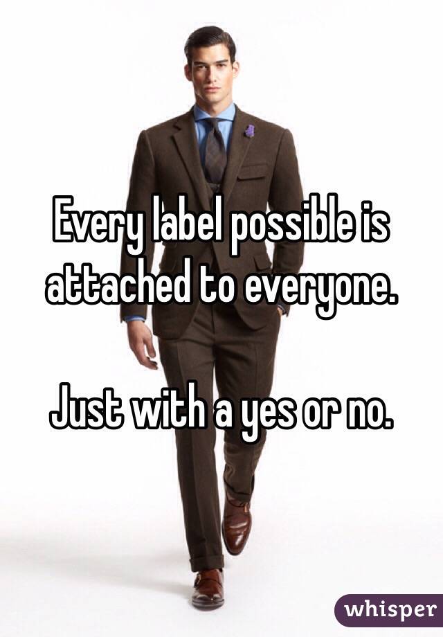 Every label possible is attached to everyone. 

Just with a yes or no. 