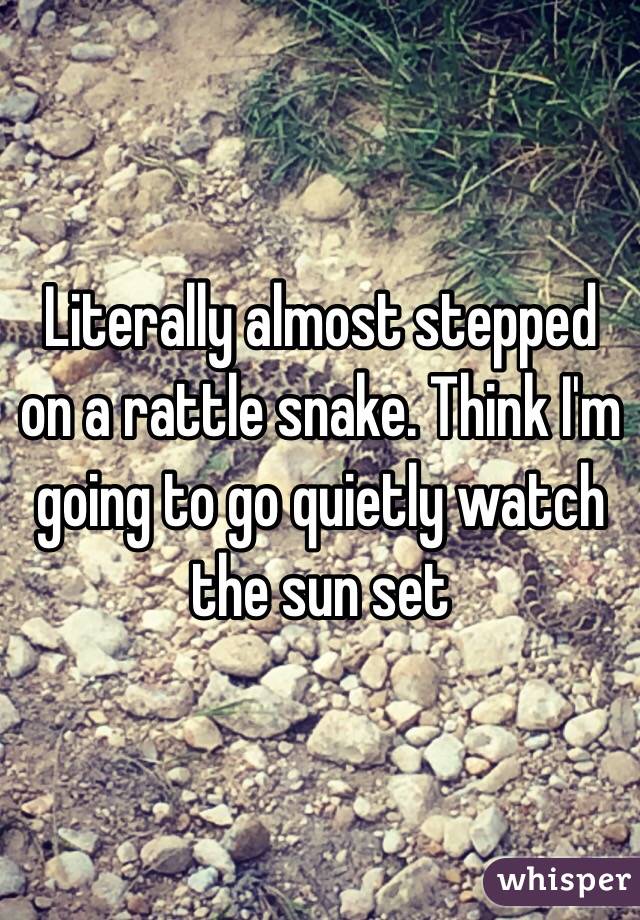 Literally almost stepped on a rattle snake. Think I'm going to go quietly watch the sun set