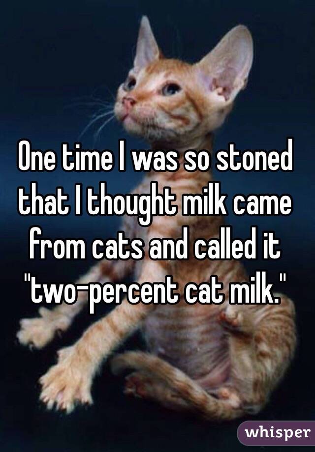 One time I was so stoned that I thought milk came from cats and called it "two-percent cat milk."