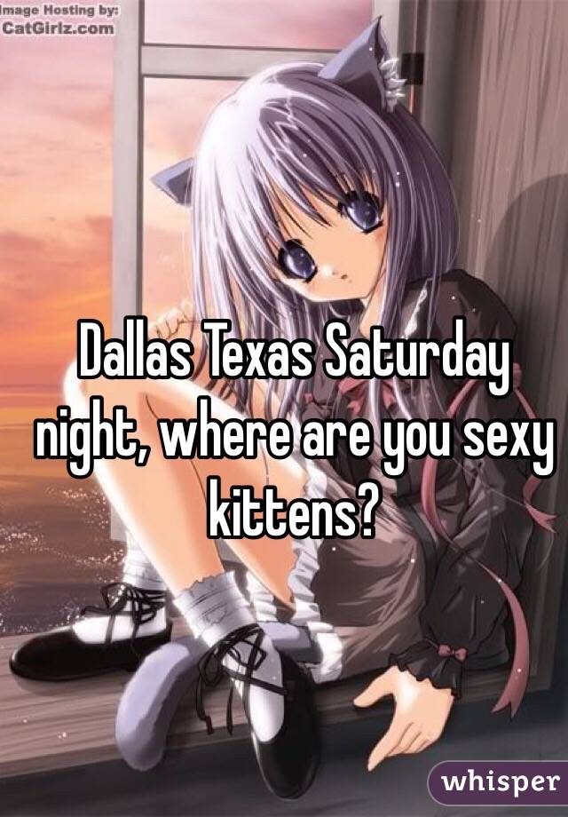 Dallas Texas Saturday night, where are you sexy kittens?
