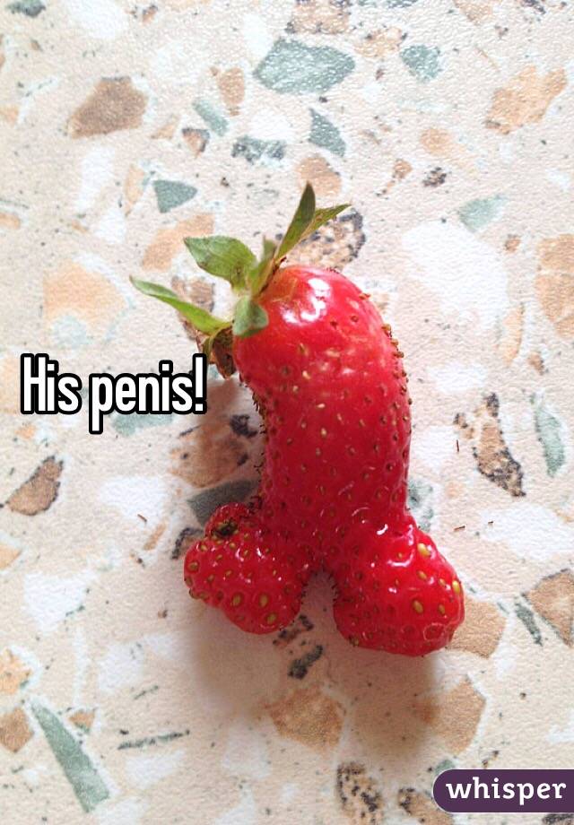 His penis!