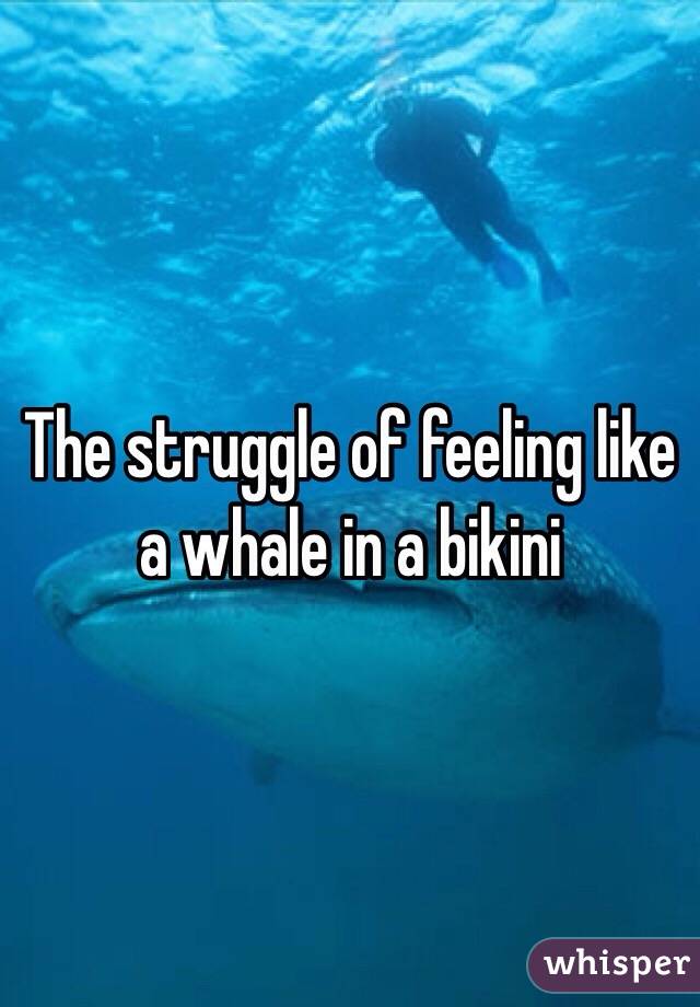 The struggle of feeling like a whale in a bikini 