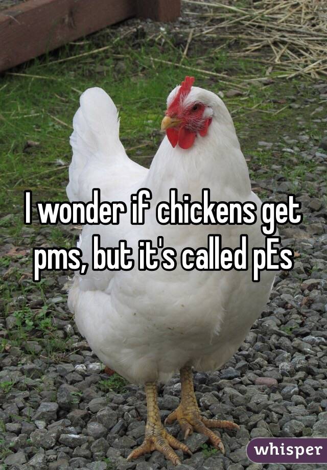 I wonder if chickens get pms, but it's called pEs