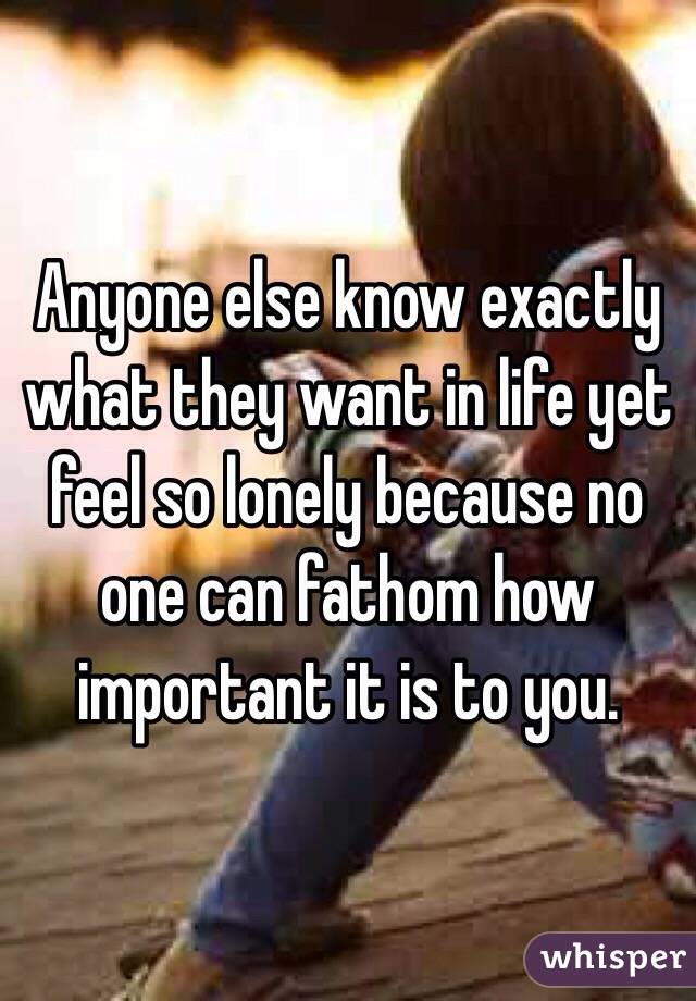 Anyone else know exactly what they want in life yet feel so lonely because no one can fathom how important it is to you. 