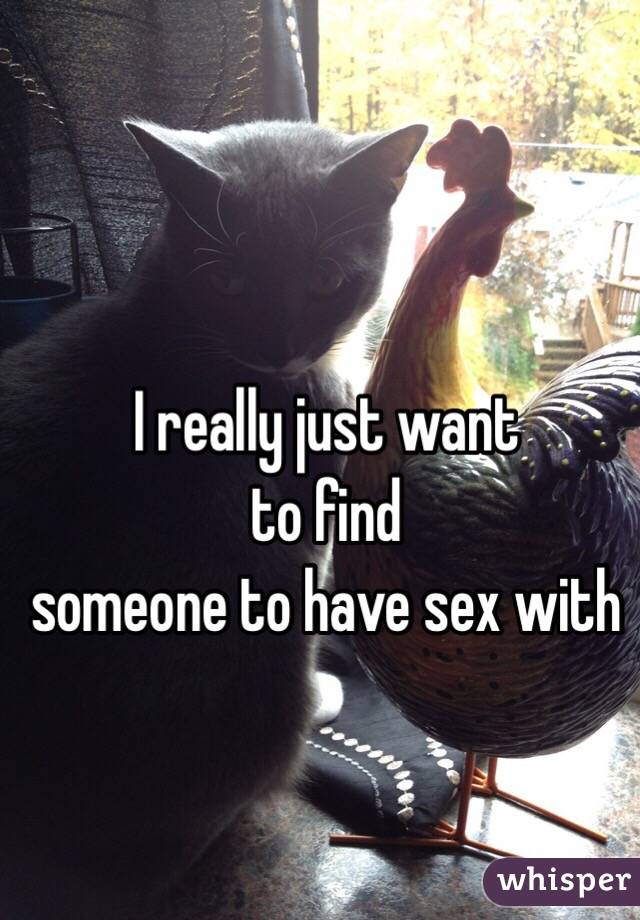 I really just want 
to find 
someone to have sex with