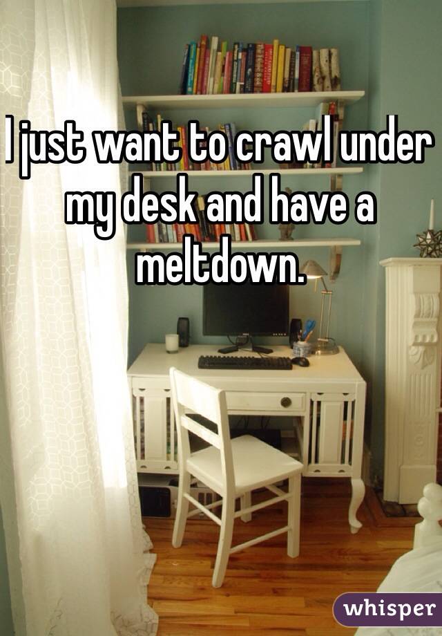 I just want to crawl under my desk and have a meltdown. 