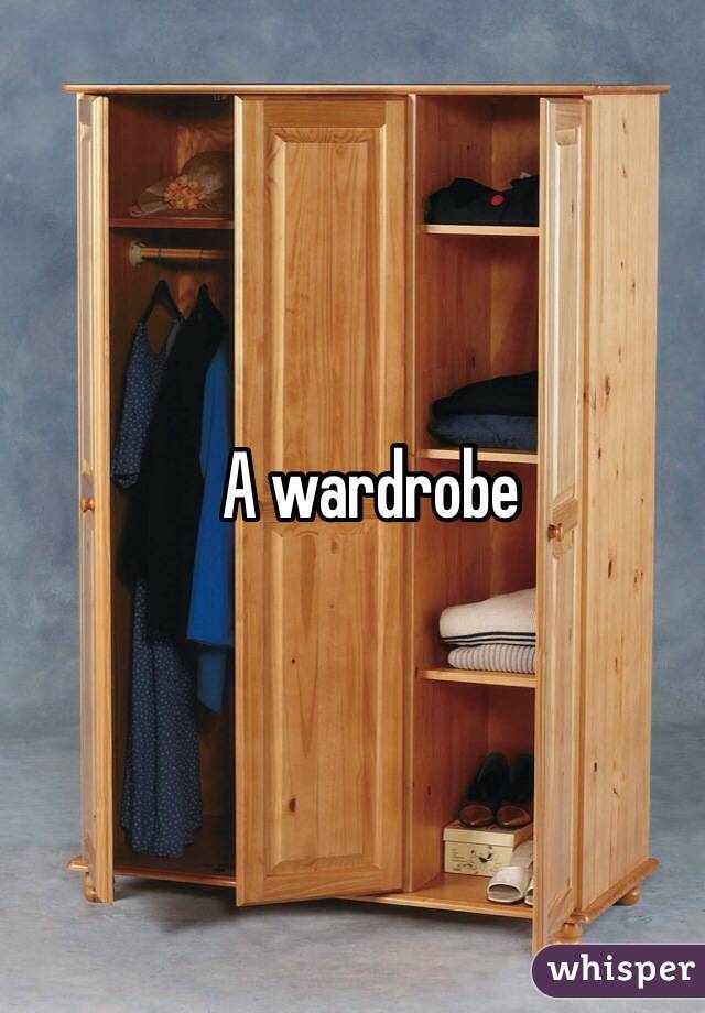 A wardrobe 