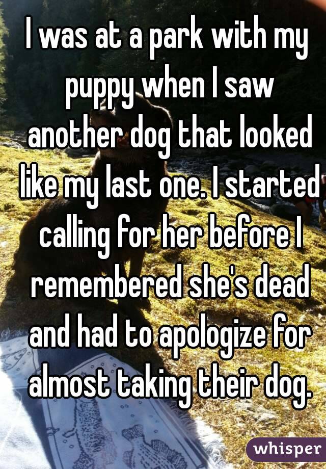 I was at a park with my puppy when I saw another dog that looked like my last one. I started calling for her before I remembered she's dead and had to apologize for almost taking their dog.