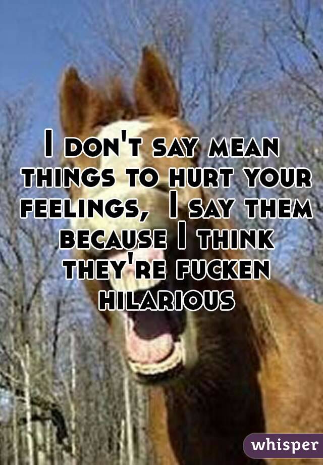 I don't say mean things to hurt your feelings,  I say them because I think they're fucken hilarious