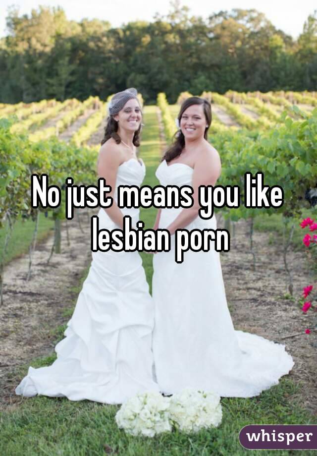 No just means you like lesbian porn