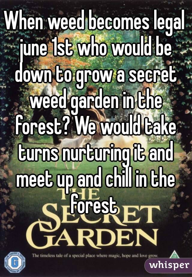 When weed becomes legal june 1st who would be down to grow a secret weed garden in the forest? We would take turns nurturing it and meet up and chill in the forest 