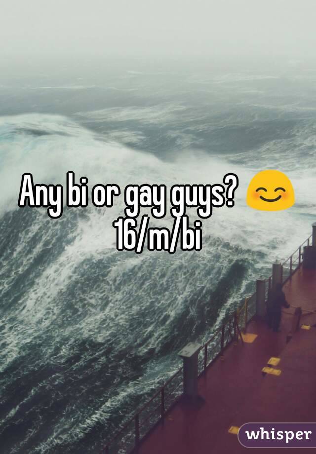 Any bi or gay guys? 😊
16/m/bi