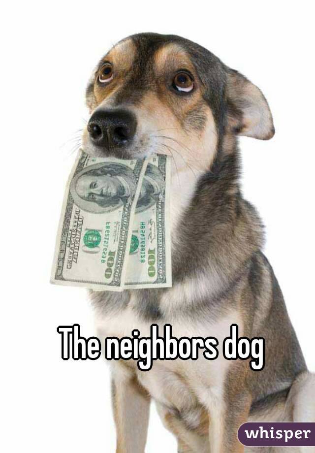 The neighbors dog