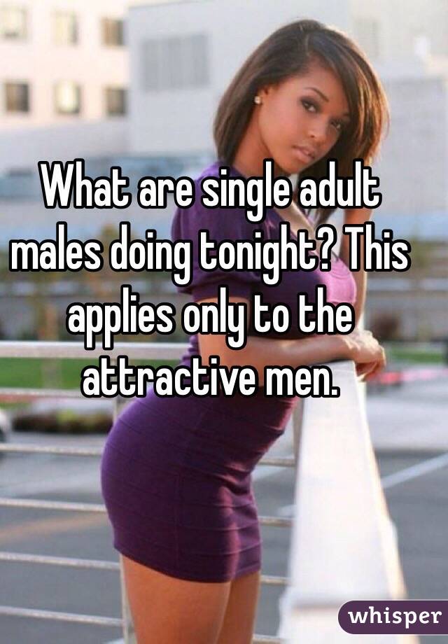 What are single adult males doing tonight? This applies only to the attractive men.