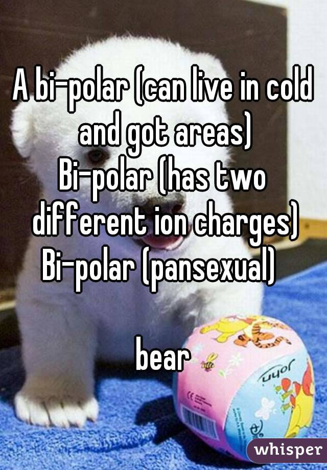 A bi-polar (can live in cold and got areas)
Bi-polar (has two different ion charges)
Bi-polar (pansexual) 

bear