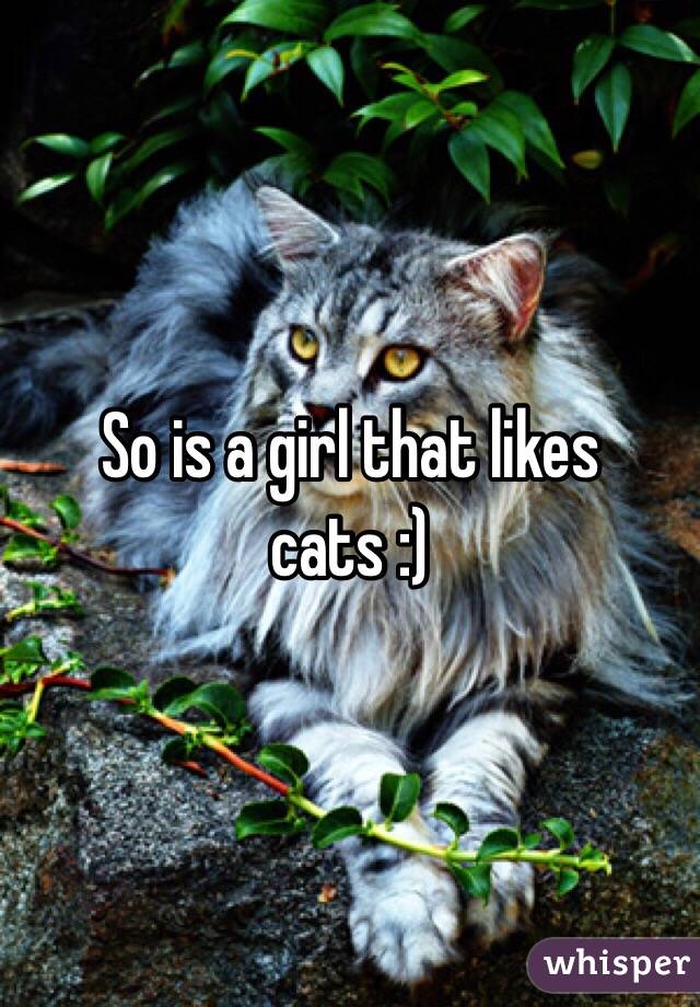 So is a girl that likes cats :)