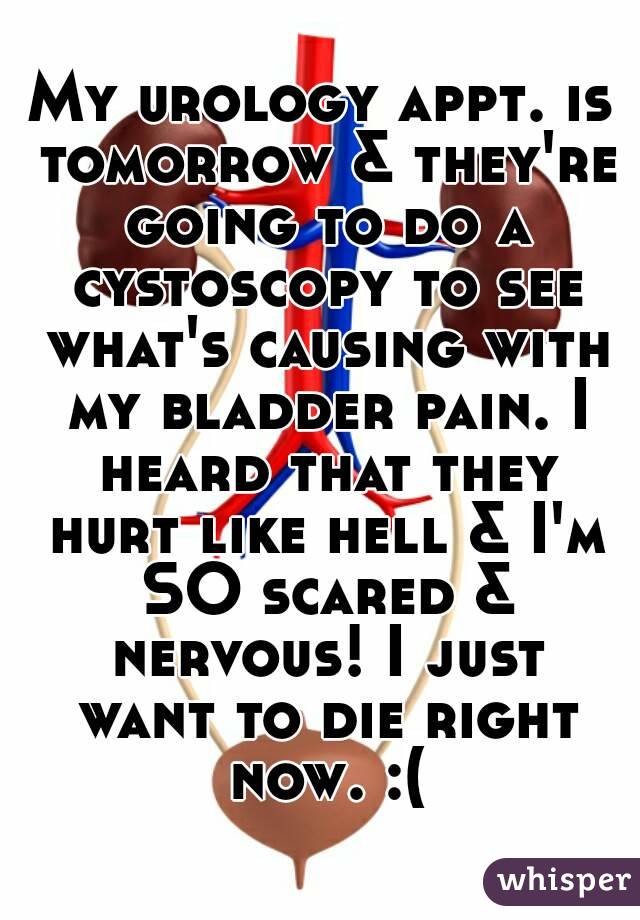 My urology appt. is tomorrow & they're going to do a cystoscopy to see what's causing with my bladder pain. I heard that they hurt like hell & I'm SO scared & nervous! I just want to die right now. :(