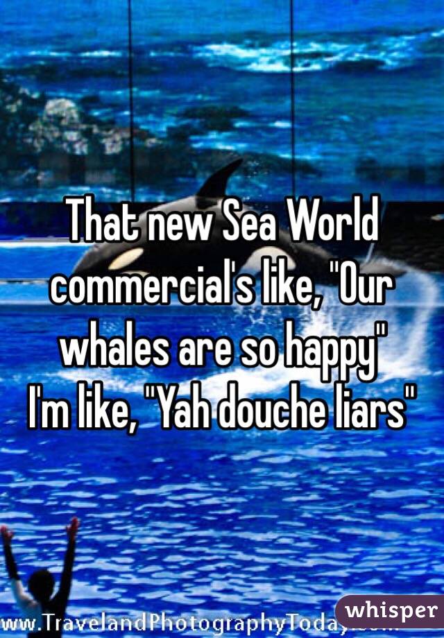 That new Sea World commercial's like, "Our whales are so happy" 
I'm like, "Yah douche liars"