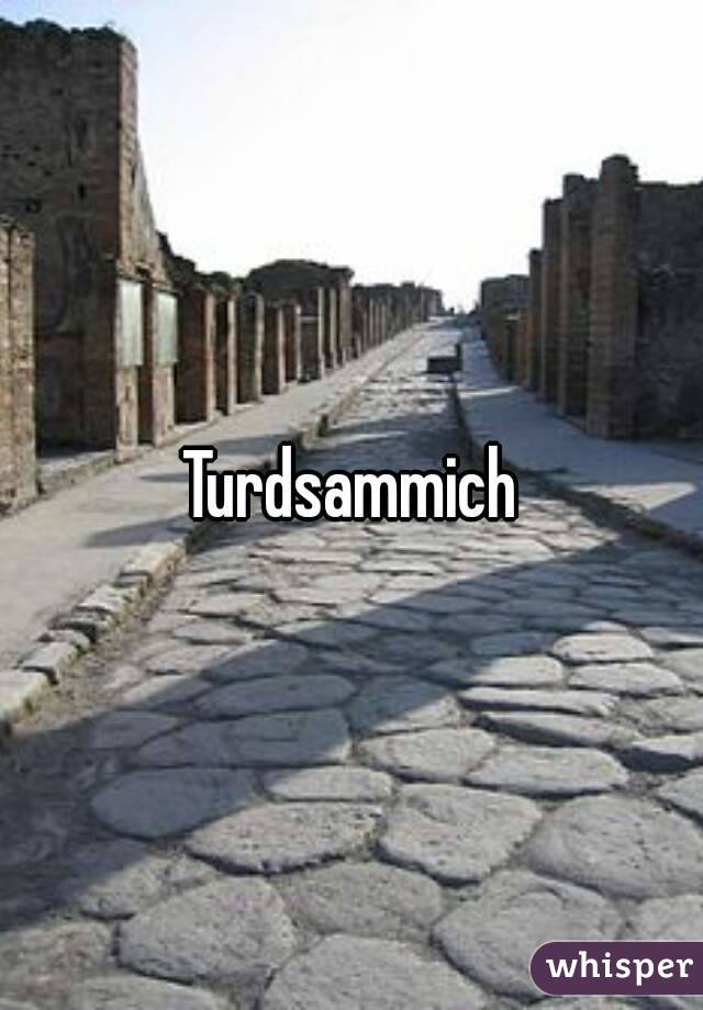 Turdsammich