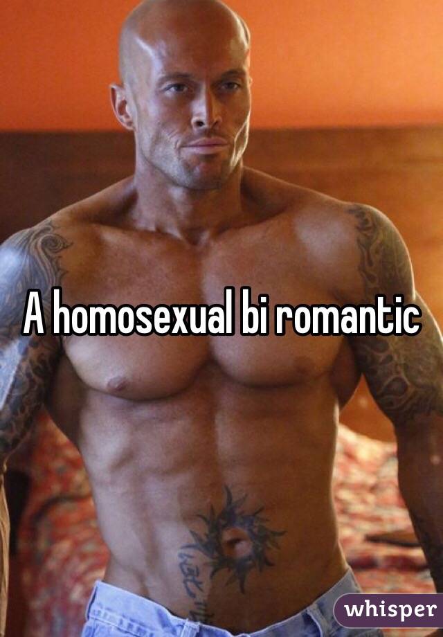 A homosexual bi romantic 
