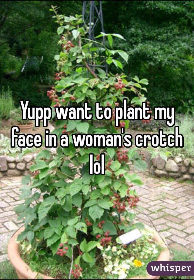 Yupp want to plant my face in a woman's crotch lol