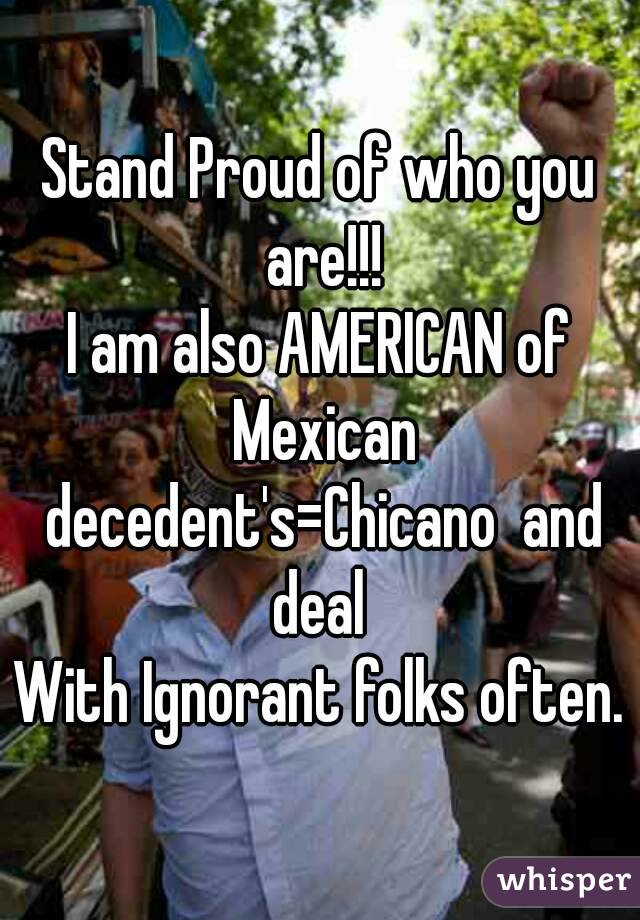 Stand Proud of who you are!!!
I am also AMERICAN of Mexican decedent's=Chicano  and deal 
With Ignorant folks often.