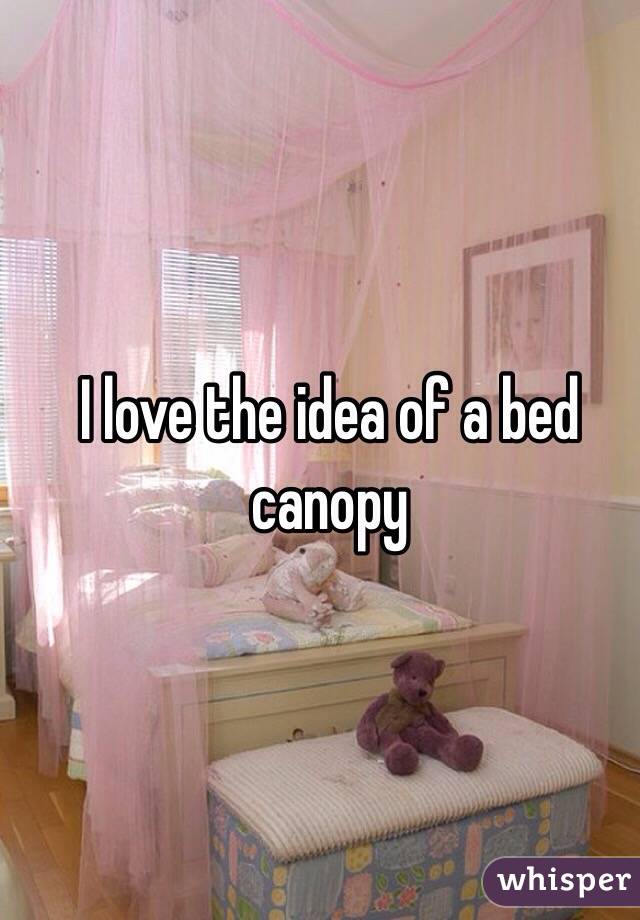 I love the idea of a bed canopy 