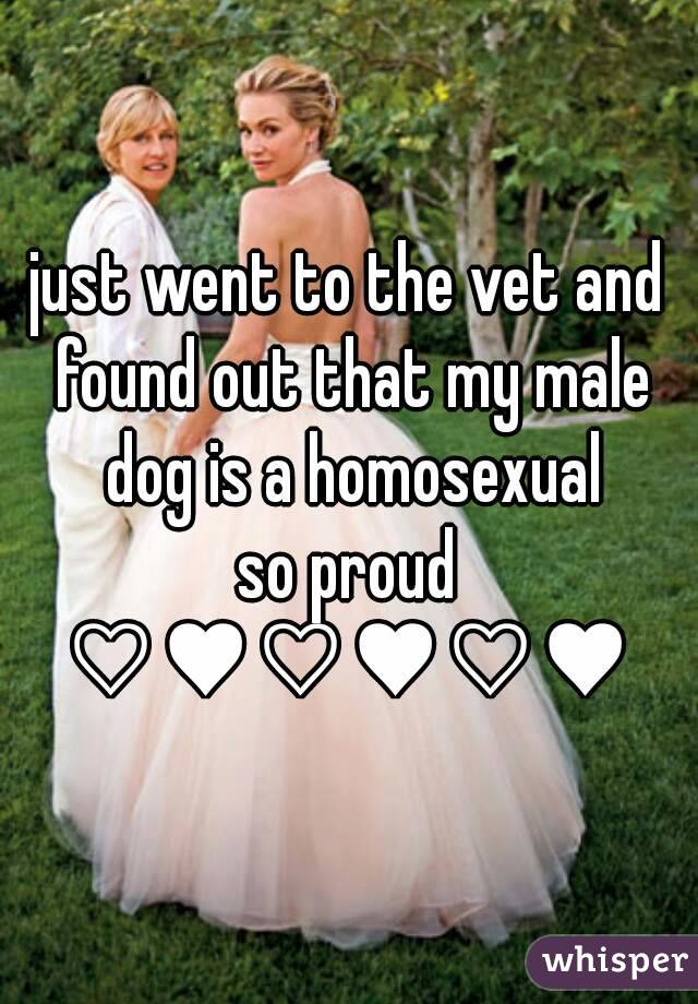 just went to the vet and found out that my male dog is a homosexual
so proud
♡♥♡♥♡♥