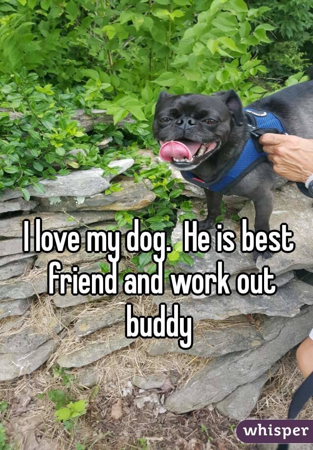 I love my dog.  He is best friend and work out buddy 