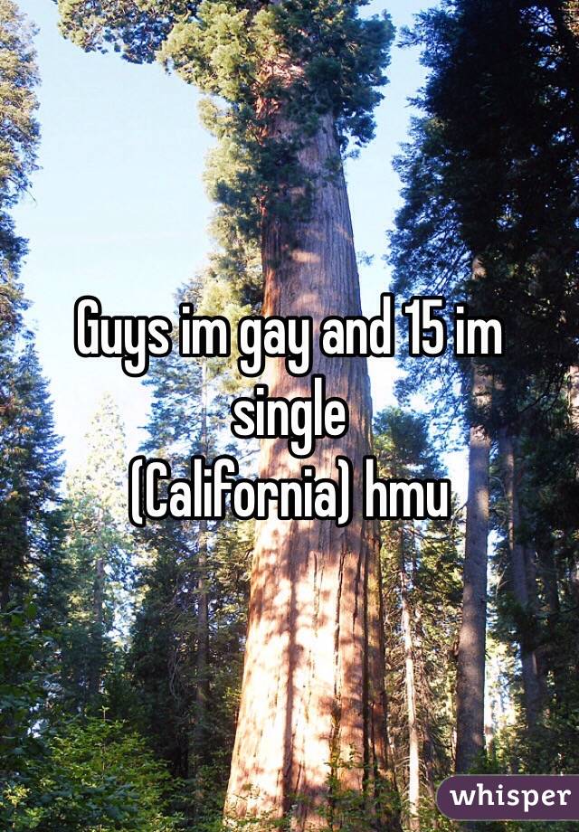 Guys im gay and 15 im single
(California) hmu