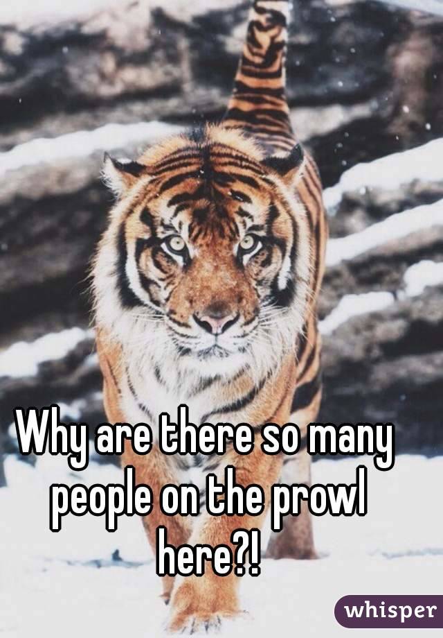 Why are there so many people on the prowl here?!