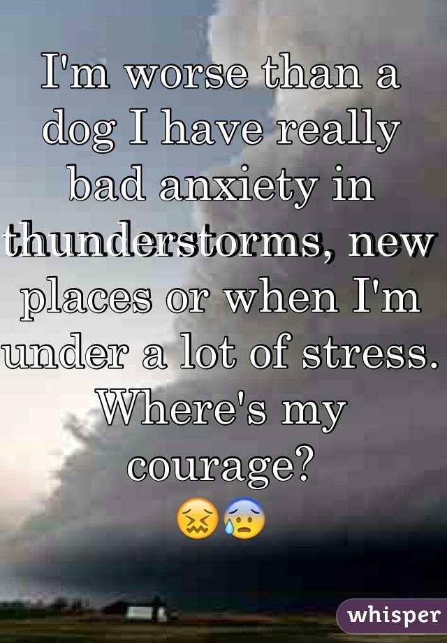 I'm worse than a dog I have really bad anxiety in thunderstorms, new places or when I'm under a lot of stress. 
Where's my courage?
😖😰