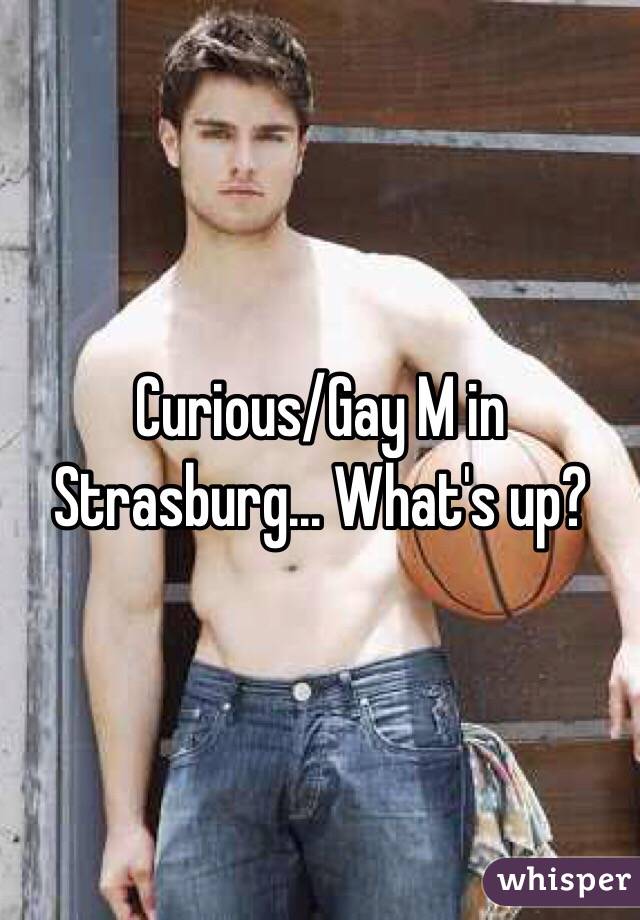 Curious/Gay M in Strasburg... What's up? 