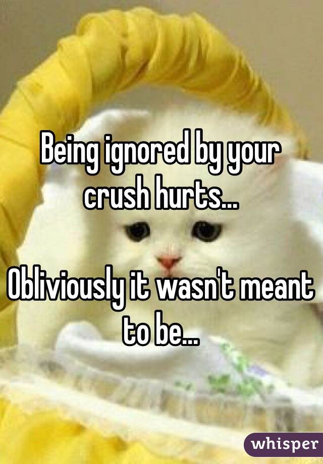 Being ignored by your crush hurts...

Obliviously it wasn't meant to be...