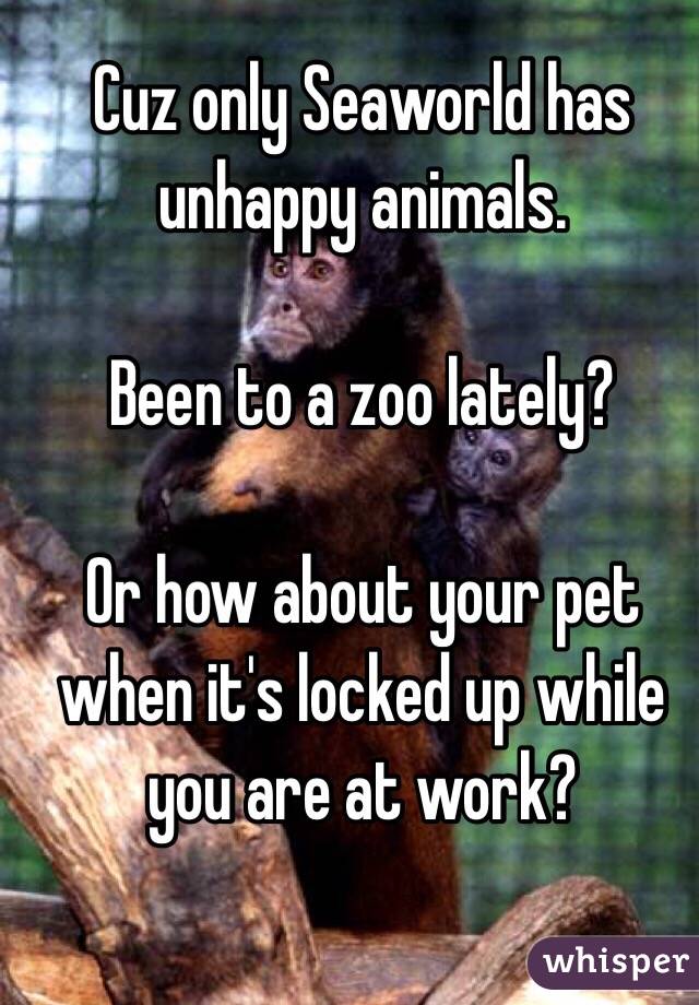 Cuz only Seaworld has unhappy animals. 

Been to a zoo lately?

Or how about your pet when it's locked up while you are at work?