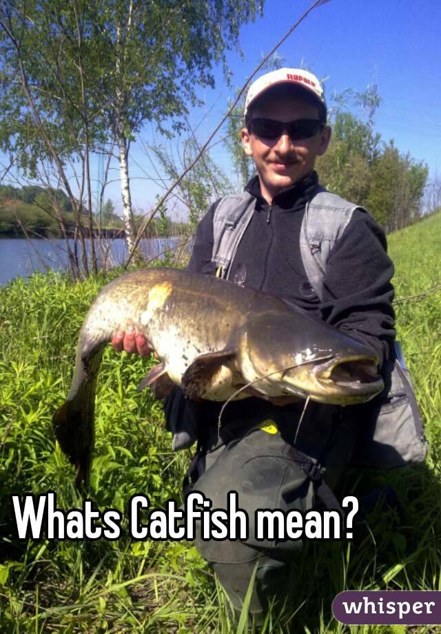 Whats Catfish mean?
