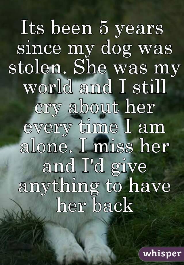 Its been 5 years since my dog was stolen. She was my world and I still cry about her every time I am alone. I miss her and I'd give anything to have her back