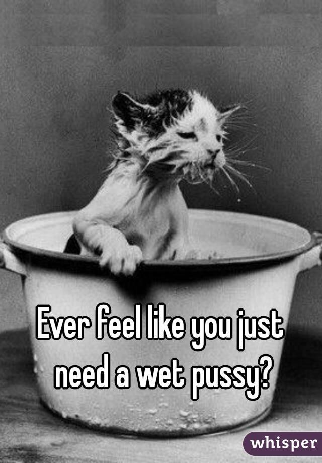 Ever feel like you just need a wet pussy?