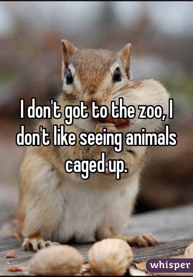 I don't got to the zoo, I don't like seeing animals caged up.