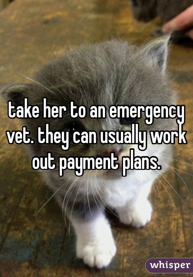 take her to an emergency vet. they can usually work out payment plans. 