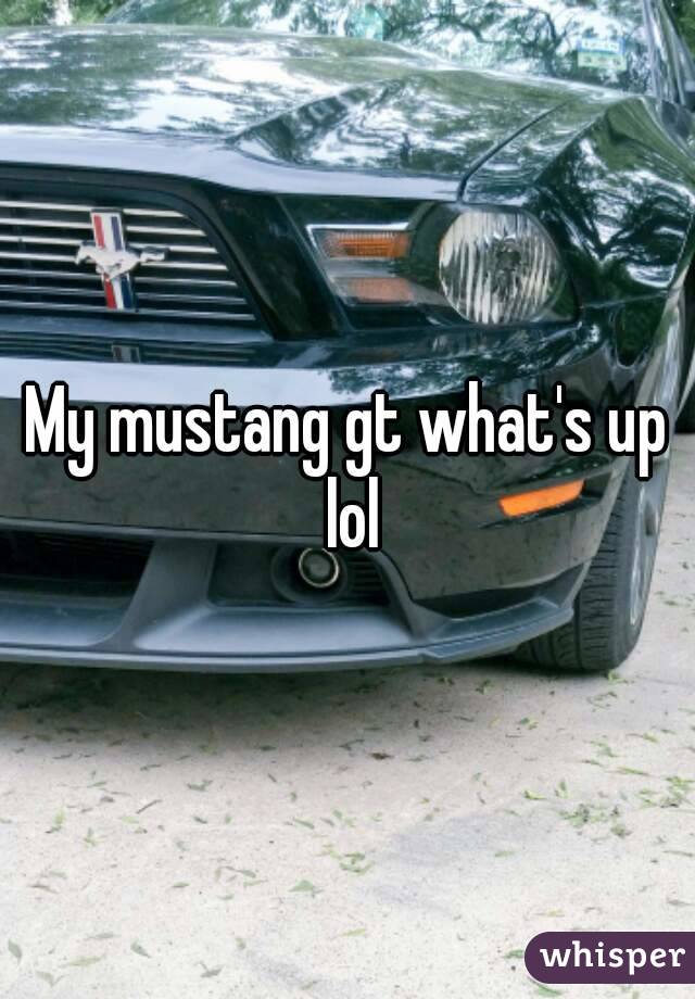 My mustang gt what's up lol