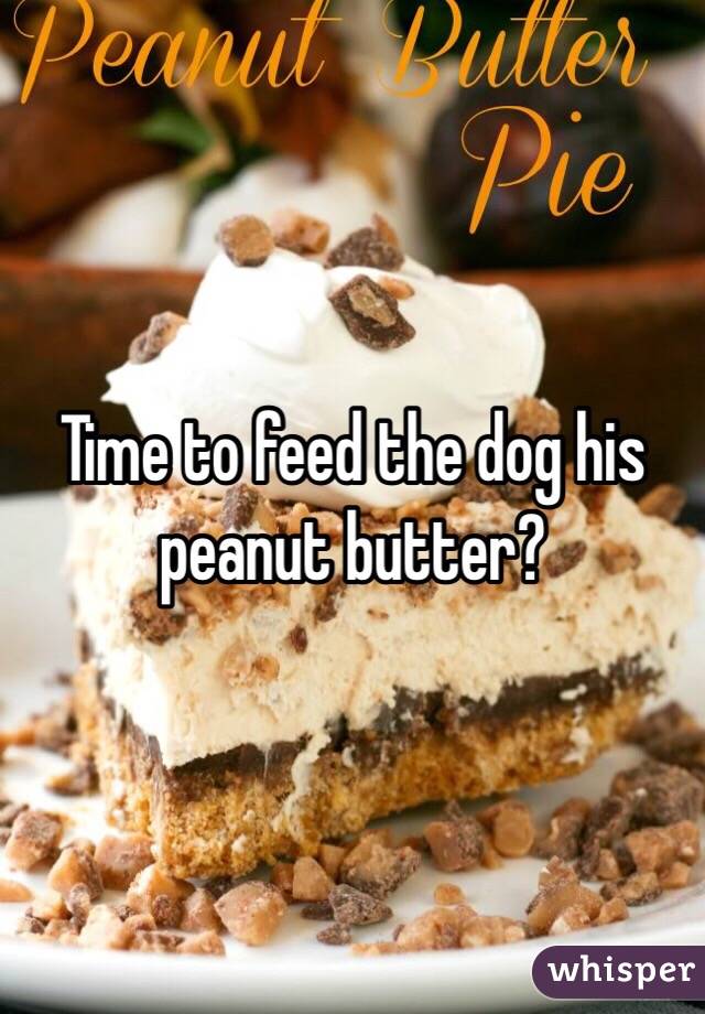 Time to feed the dog his peanut butter?