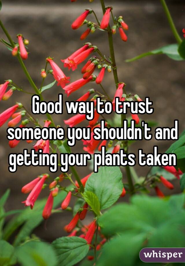 Good way to trust someone you shouldn't and getting your plants taken