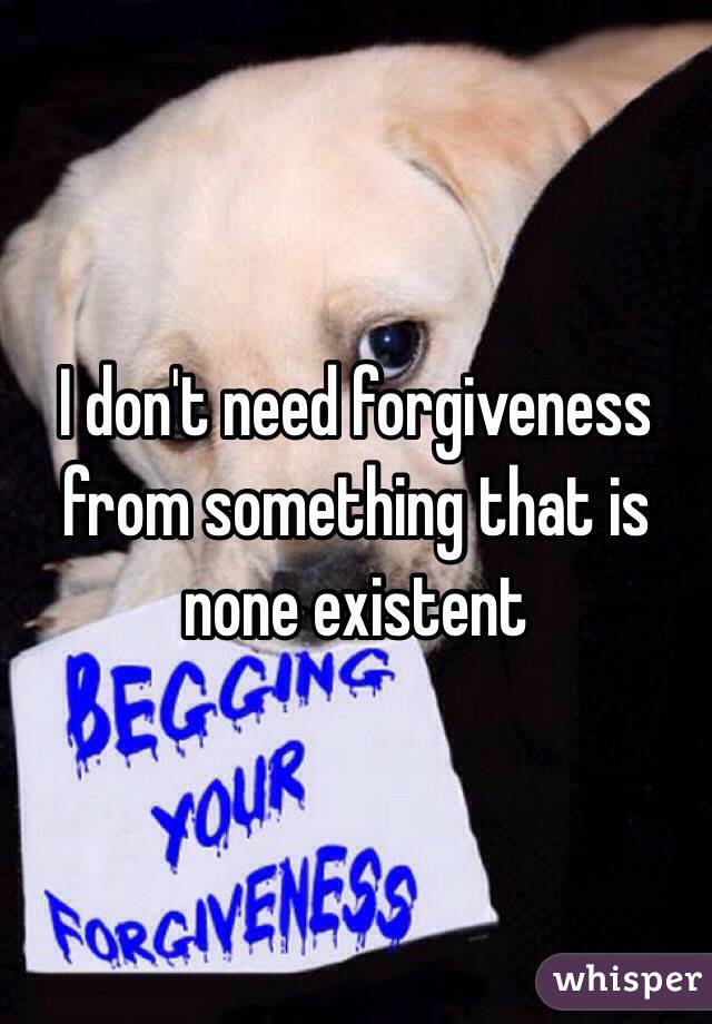 I don't need forgiveness from something that is none existent 