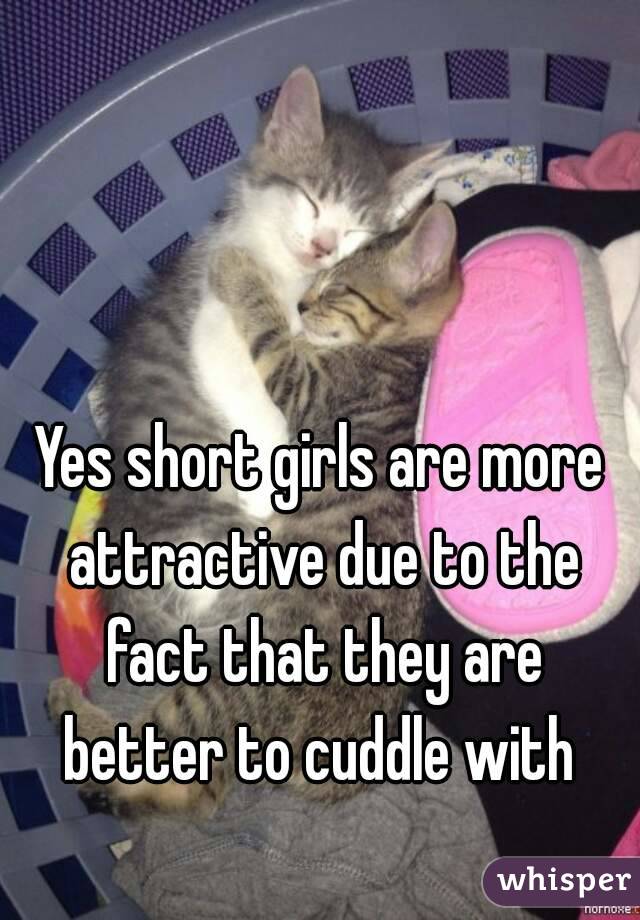 Yes short girls are more attractive due to the fact that they are better to cuddle with 