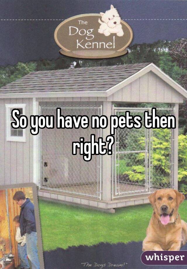 So you have no pets then right?