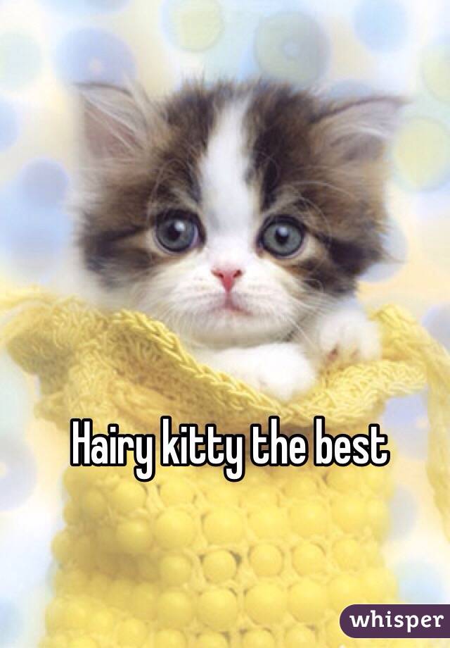 Hairy kitty the best