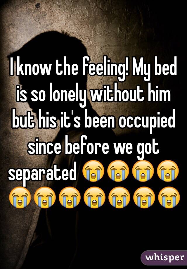 I know the feeling! My bed is so lonely without him but his it's been occupied since before we got separated 😭😭😭😭😭😭😭😭😭😭😭